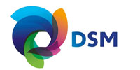 DSM